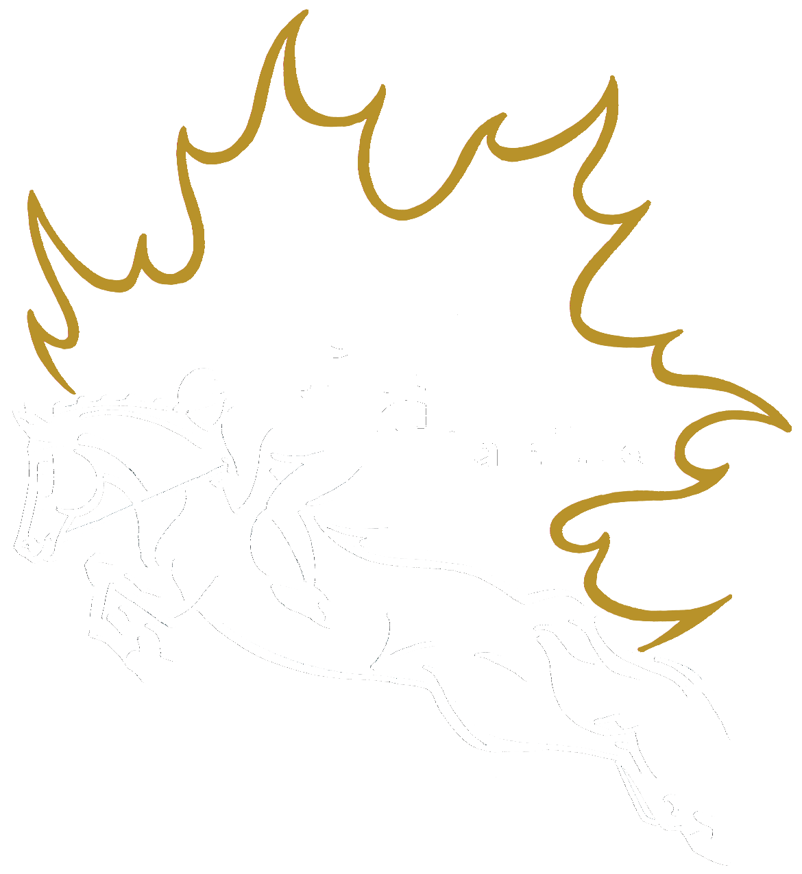 OPS Logo