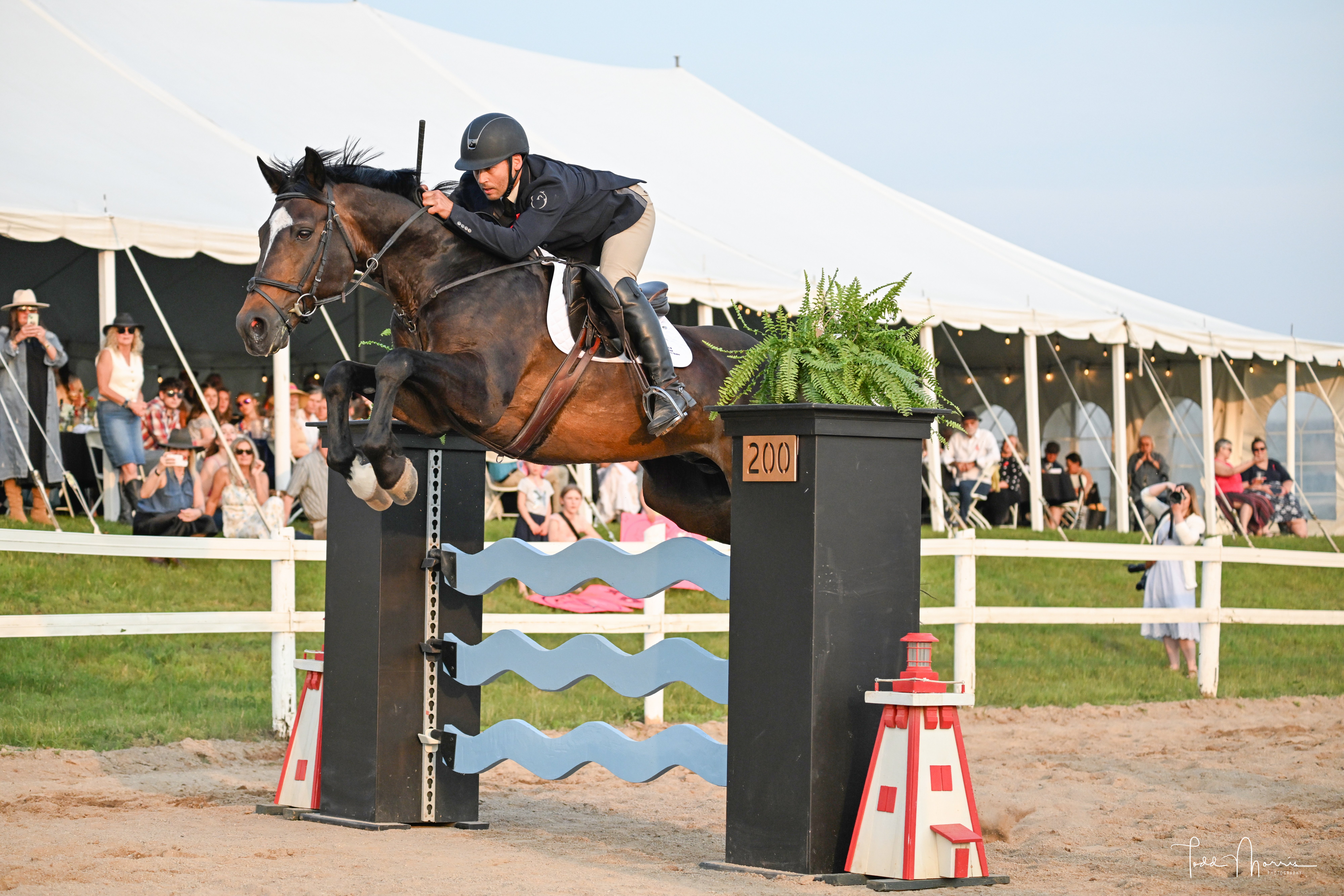 Rapson offspring competing in the show ring